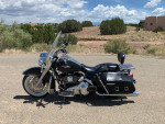 2000 Harley Road King