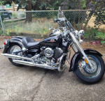 '99 Yamaha Vstar 650 Great bike for new female bikers!