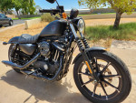 2022 Harley-Davidson Iron 883 Sportster