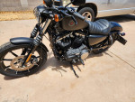 2022 Harley-Davidson Iron 883 Sportster