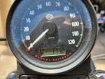 2022 Harley-Davidson Iron 883 Sportster