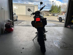 2010 Kawasaki KLX 250 Dual Sport