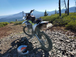 2017 Husqvarna FE501