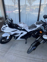 200cc EFI Falcon Scooter Automatic 65MPH 70MPG Turbopowersports