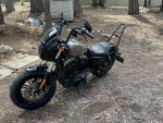 1200cc sportster 48