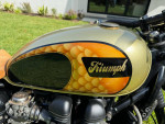 2005 Triumph Bonneville