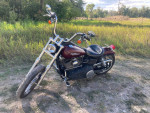 2008 Harley Davidson Street Bob