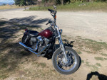 2008 Harley Davidson Street Bob