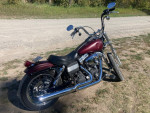 2008 Harley Davidson Street Bob