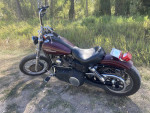 2008 Harley Davidson Street Bob