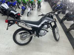2024 Yamaha XT250 Dual Sport