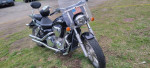 2004 Honda VXT1300 motorcycle..low miles. Runs like a dream!