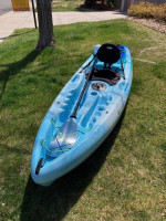 Perception Tribe 9.5 Kayak