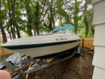 19 ft sunbird obo