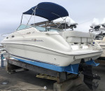 Searay Sundancer 1997 24’ 240 DA Cabin Cruiser needs Engine n some cos