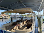 2017 VERANDA TRITOON