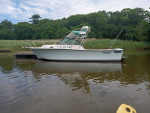 24' Rampage Express inboard