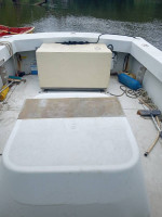 24' Rampage Express inboard