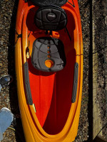 LL Bean Manatee