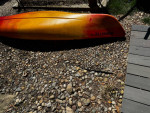 LL Bean Manatee