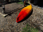 LL Bean Manatee