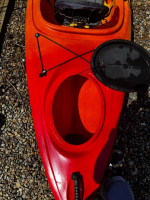LL Bean Manatee