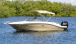 Sea Ray