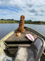 Fishing / Hunting Boat with Motor
