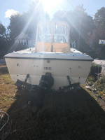 350 EFI BRAVO II 2014