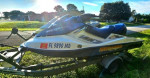 Seadoo Ski Pair