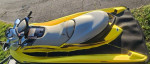 Seadoo Ski Pair