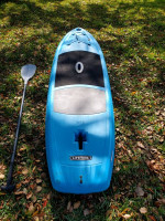 Lifetime Amped Paddle Board