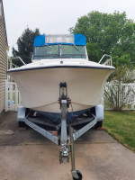 1987 Proline Walkaround