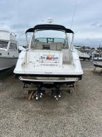 2010 Sea Ray 370