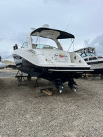 2010 Sea Ray 370