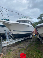 1997 Bayliner Ciera 2858 Flybridge with a triple axle aluminum trailer