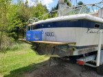 1980 Chris Craft Catalina