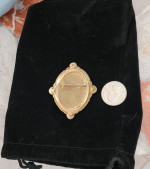 Beautiful Vintage Abalone Brooch
