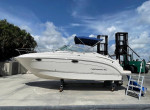 Cruiser 27ft Chaparral Remote Spotlight