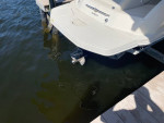 2007 Searay 26 Sundeck