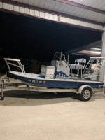 2011 trans cat boat