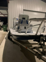 2011 trans cat boat