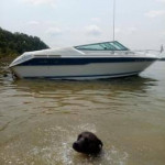 1989 Sea Ray 220