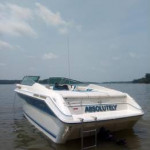 1989 Sea Ray 220