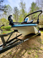 Amazing Bumble Bee Stinger 2