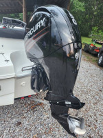 !9 ft Bow Rider Deck boat