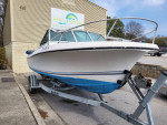 Wellcraft V20 Powerboat with Trailer