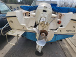 Wellcraft V20 Powerboat with Trailer