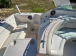 250HP Swim platform cruiser rinker