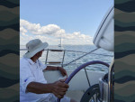 Nonsuch 26 'Classic'
